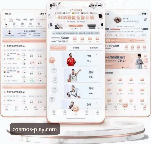 星空体育平台手机版下载与使用体验全面解析